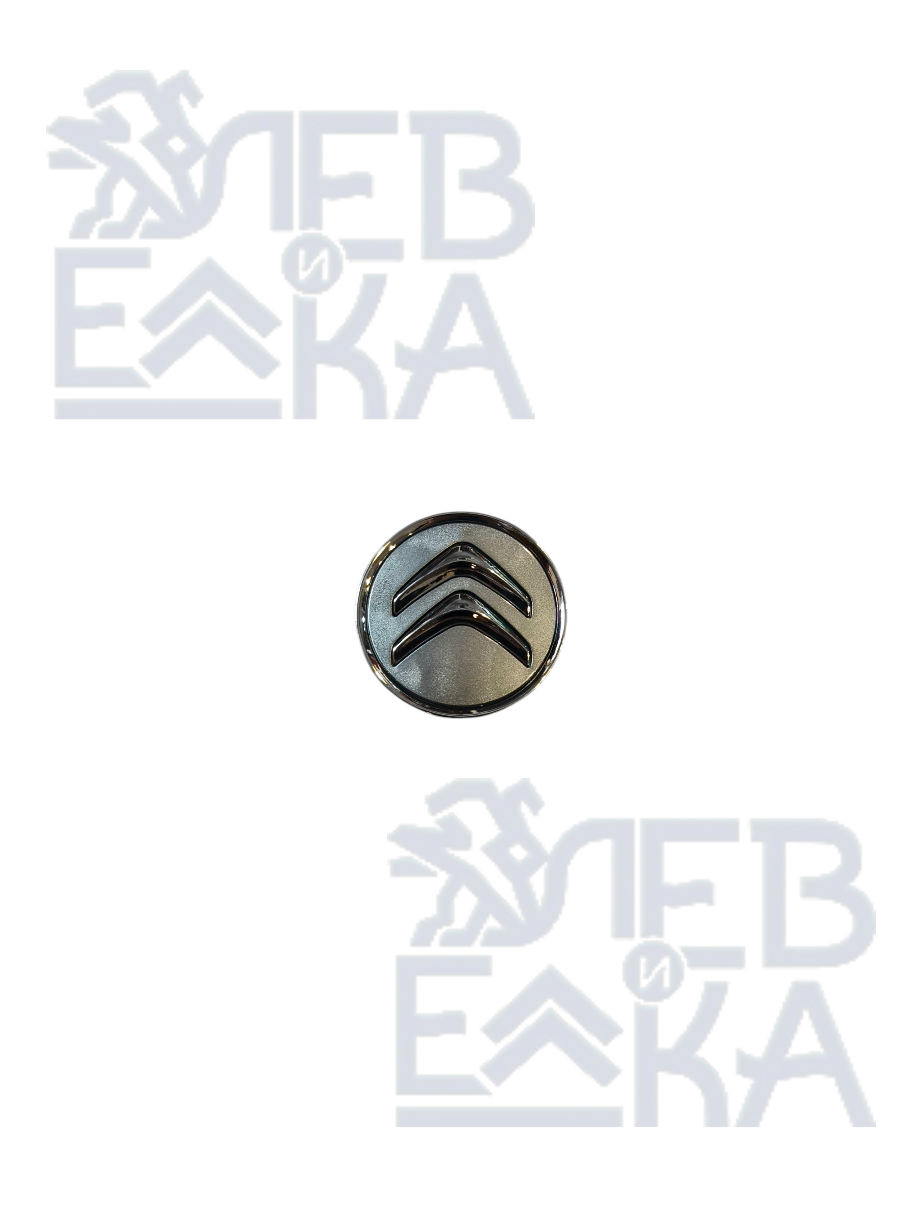 Колпачок ступицы колесного диска — VA1703731 — OEM VA1703731 - 1