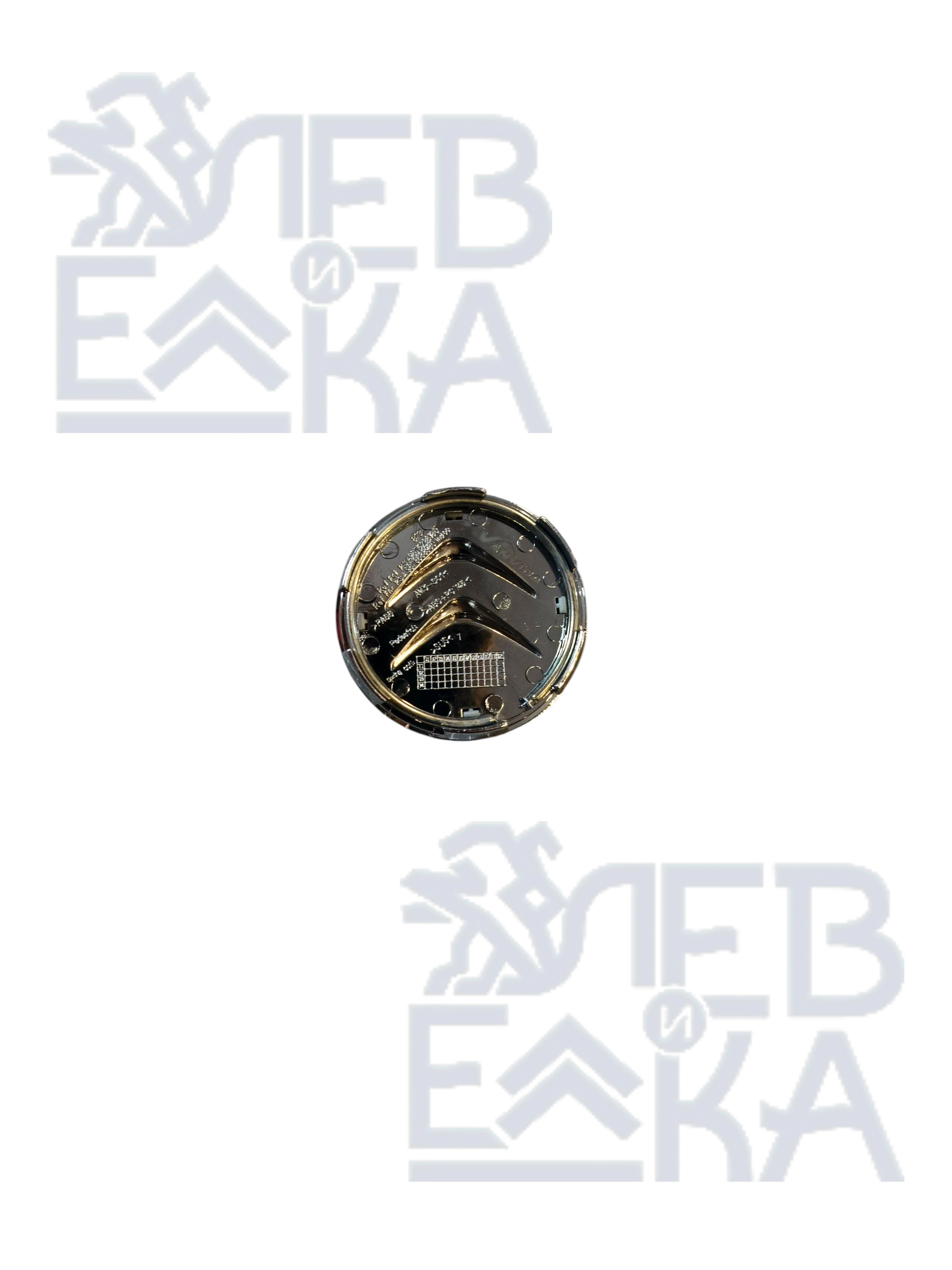 Колпачок ступицы колесного диска — VA1703731 — OEM VA1703731 - 2